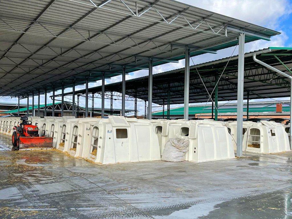 outdoor calf housing