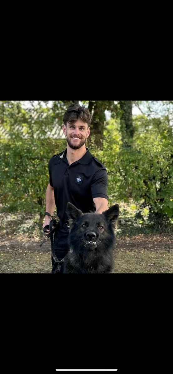 The three personalities of PD Kai, Kai the model, Kai at Work and Kai just being Kai and smiling 😂 
Congratulations to PD Kai and his handler on passing thier annual license today. This team work at <a href="/HMPFullSutton/">HMP Full Sutton</a>. Very well done. Excellent team 👏👏👏
#HMPPS #MOJ #workingdogs