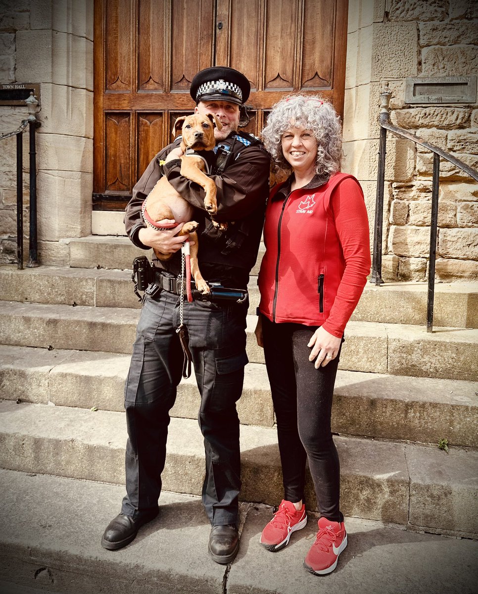 It was great to see Layla and Beans from <a href="/StrayAidDogs/">Stray Aid</a> in the Market Place today.

Beans is a 10 week old Mastiff cross with bundles of energy. 

If you think you could give Beans or any of her friends a loving home, please contact Stray Aid at strayaid.org.uk/rehome-a-dog/ 

🐕👮‍♂️👍❤️