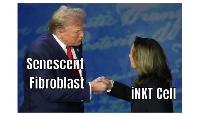 🤝 #meme #election2024 #antibuddiespodcast