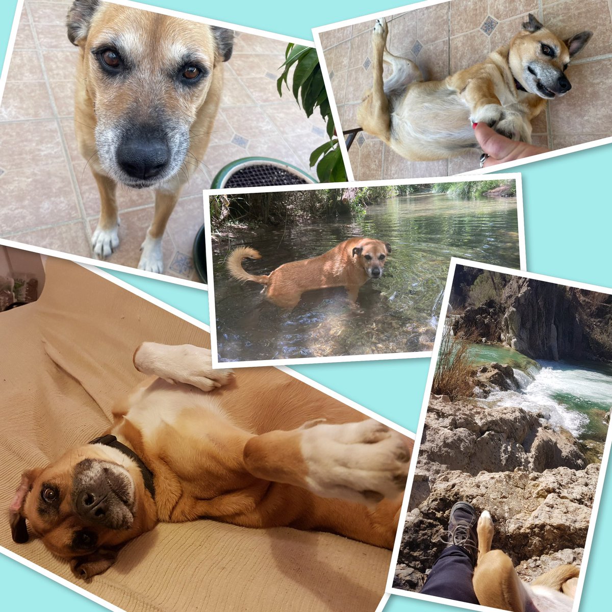 QueenQarla tweet media