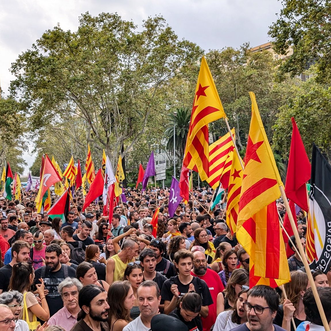 DMangadoAranda's tweet photo. Milaka lagun Bartzelonako kaleetan Kataluniako ezker independentistak deitutako manifestazioan.
Milers de persones recorren els carrers de Barcelona a la manifestació convocada per l'esquerra independentista catalana.
✊ Visca la terra lliure! #FerHoPossible https://t.co/jqy9FIQBld