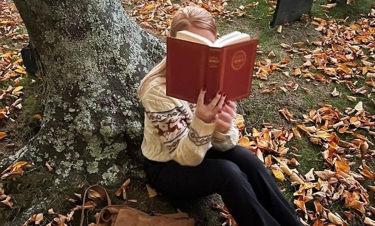 𝙳𝚊𝚛𝚔 𝚊𝚌𝚊𝚍𝚎𝚖𝚒𝚊 𝚍𝚛𝚎𝚊𝚖𝚜 tweet media