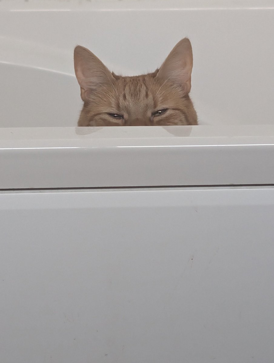 Charlie is watching 👀