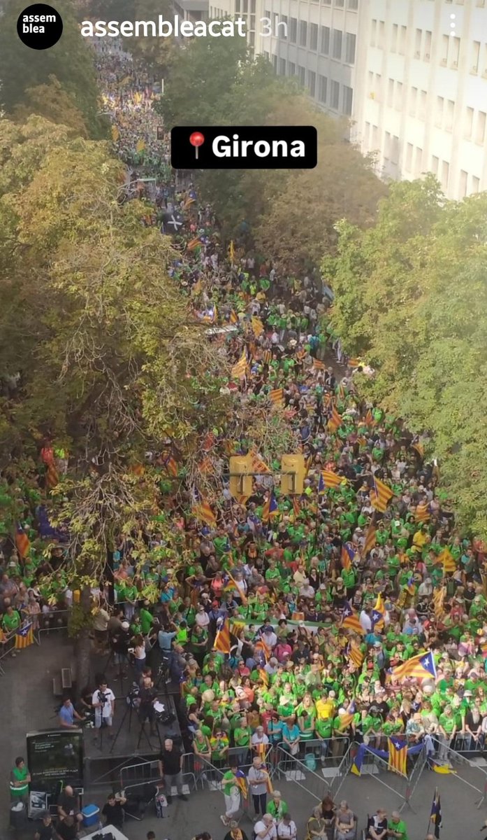 ANC Breda tweet media