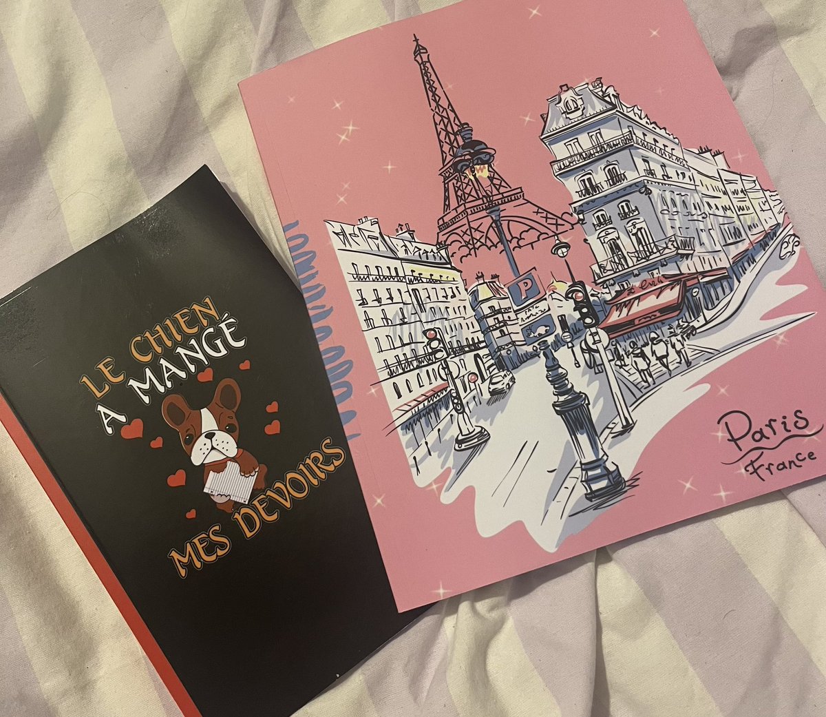 Ready for Year 2 of the French CCEd starting back in a few weeks <a href="/UniStrathclyde/">University of Strathclyde</a>, any excuse to buy new notebooks 📒🇫🇷!