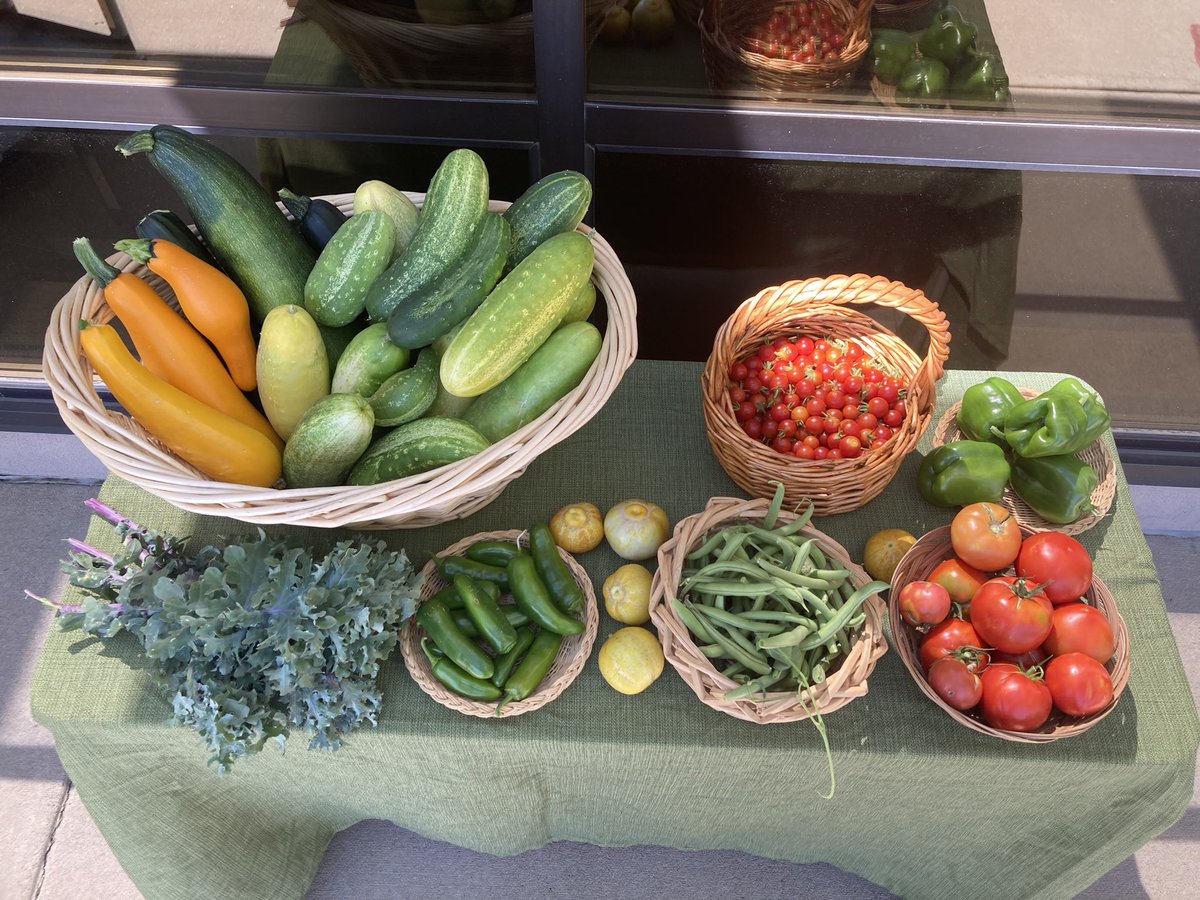 Spark! Discovery Preschool (@sparkdps) on Twitter photo Our garden 🪴 is the gift that keeps on giving! Come take veggies for family, at the front entrance. Enjoy—squash, tomatoes, tomatoes, green beans, green bell peppers, cucumbers, and lemon cucumbers! #Stvrainstorm <a href="/WeldTrust/">The Weld Trust</a> <a href="/CETC_SVVS/">Career Elevation and Technology Center</a> <a href="/ECEinSVVSD/">ECEinSVVSD</a> Our garden 🪴 is the gift that keeps on giving! Come take veggies for family, at the front entrance. Enjoy—squash, tomatoes, tomatoes, green beans, green bell peppers, cucumbers, and lemon cucumbers! #Stvrainstorm <a href="/WeldTrust/">The Weld Trust</a> <a href="/CETC_SVVS/">Career Elevation and Technology Center</a> <a href="/ECEinSVVSD/">ECEinSVVSD</a>