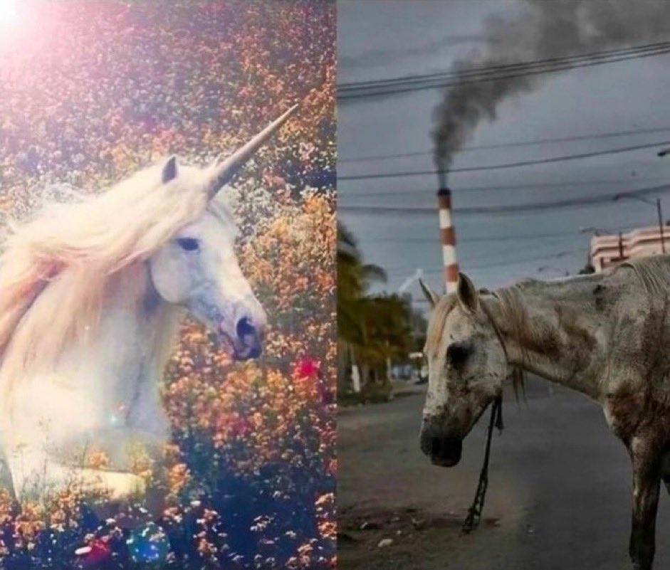 YontaLabs tweet media