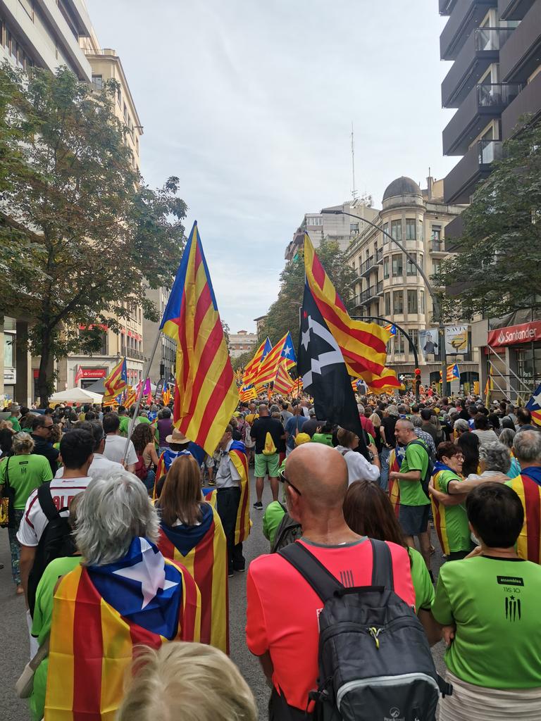 Girona mai no falla. Visca Catalunya lliure! Visca la terra! Puigdemont, el nostre president!