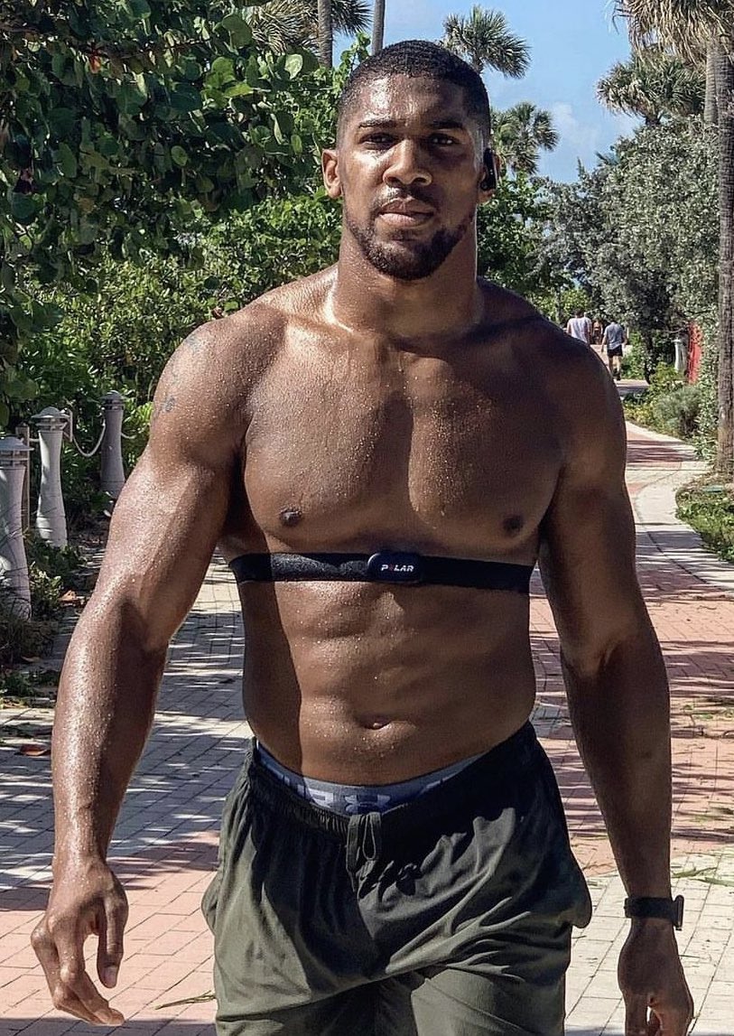 Boxing Kingdom tweet media