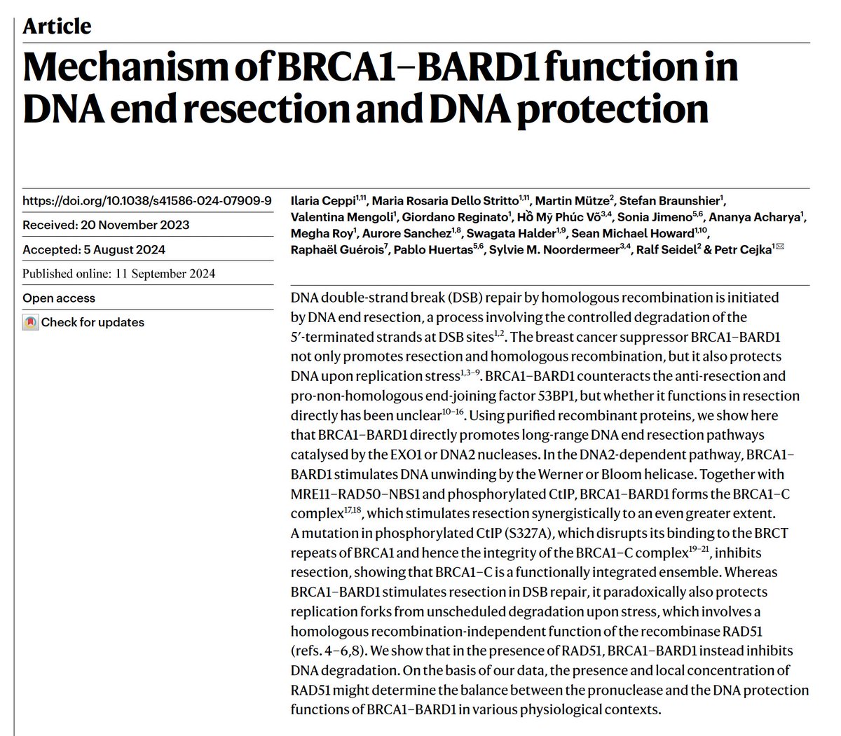 Cejka Lab (@cejkalab) on Twitter photo We are thrilled to present you our work on BRCA1-BARD1 <a href="/Nature/">nature</a> showing that the complex has a direct role in long-range DNA end resection. With <a href="/CeppiIlaria/">Ilaria_Ceppi</a> <a href="/DelloStritto_MR/">Maria Rosaria Dello Stritto</a> and our collaborators <a href="/PabloHuertasLab/">Pablo Huertas' Lab</a> <a href="/SylvieNoorderm1/">Sylvie Noordermeer</a> and Seidel labs.
nature.com/articles/s4158… We are thrilled to present you our work on BRCA1-BARD1 <a href="/Nature/">nature</a> showing that the complex has a direct role in long-range DNA end resection. With <a href="/CeppiIlaria/">Ilaria_Ceppi</a> <a href="/DelloStritto_MR/">Maria Rosaria Dello Stritto</a> and our collaborators <a href="/PabloHuertasLab/">Pablo Huertas' Lab</a> <a href="/SylvieNoorderm1/">Sylvie Noordermeer</a> and Seidel labs.
nature.com/articles/s4158…