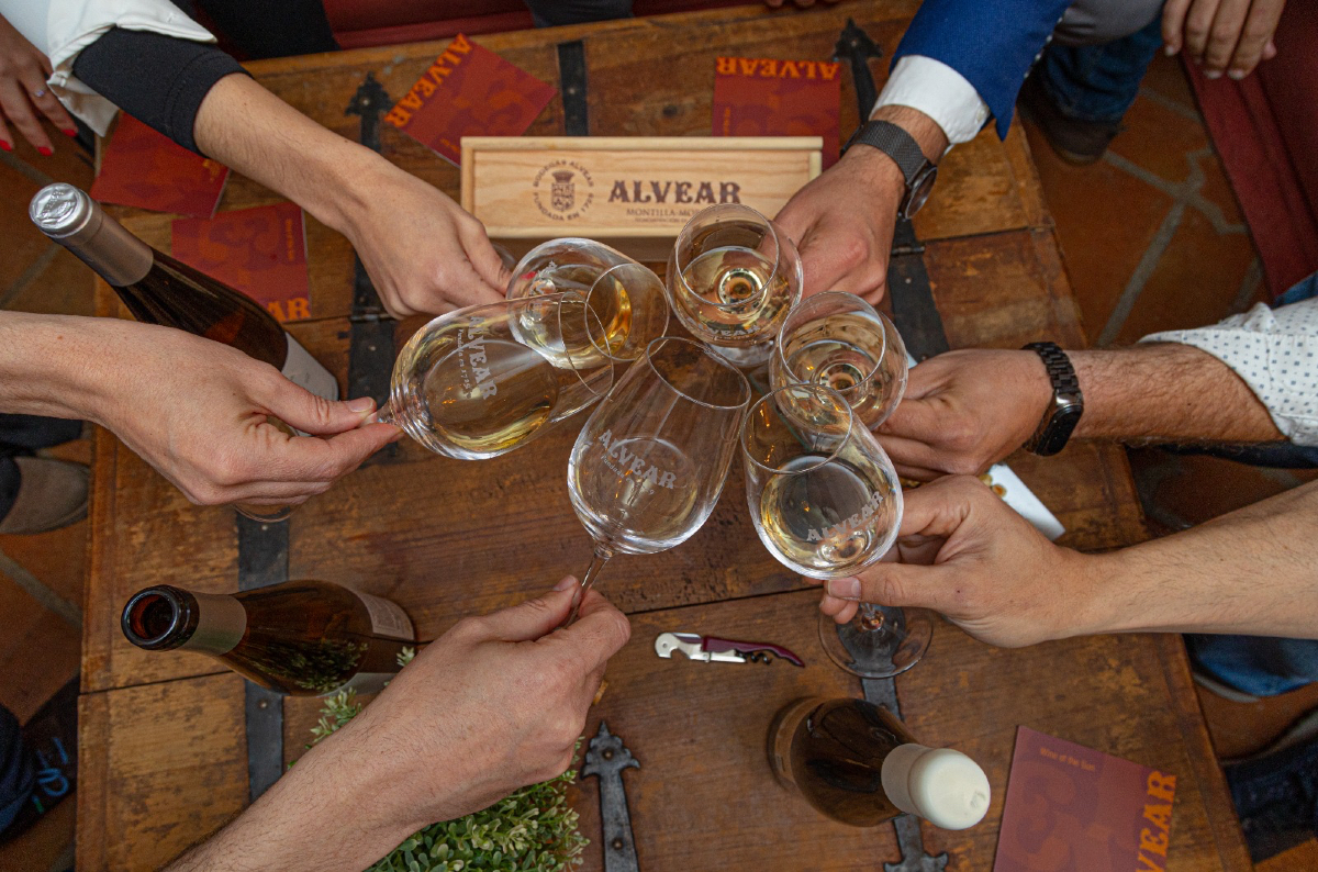 🗣️Visita guiada con degustaciones de vinos.
Días: de lunes a sábado, visita en inglés (11:00 h.) y en español
(12:30 h.). Cita previa.

🍇Degustación de vinos singulares en el Wine Bar.
Horario: de lunes a viernes de 10 a 14 y de 16 a 18 h.
Sábados de 11 a 14H