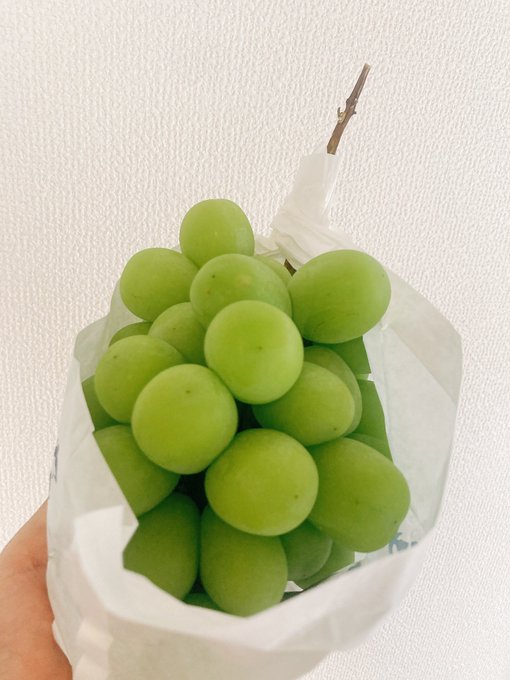 フォローさんから立派なマスカットを2房もいただきました🥰  デビュー当初からイベントやらなんやらでいつもいつも気にかけてくれてありがとう😌 私が憧れていた季節の美味しいフルーツが食べれる生活✨ 叶えてくれてとっても嬉しいよ☺️  これからも応援してね😊