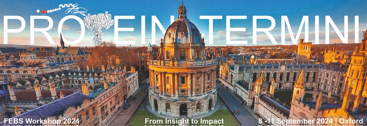 ISPT_ProteinTermini tweet media