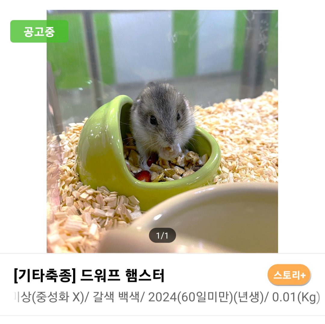 컷오프 프로젝트 tweet media