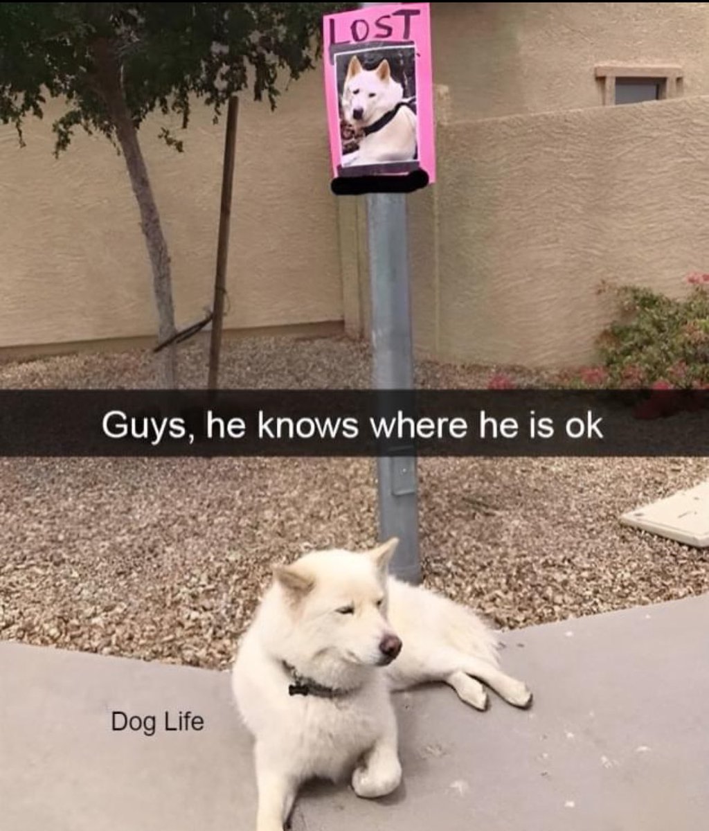 Pretty much every time I’m looking for Henry 😂