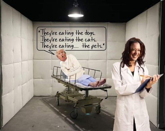 Amy_Siskind's tweet photo. Living for the memes today 😅😂🤣 https://t.co/s2y2sVnvtN
