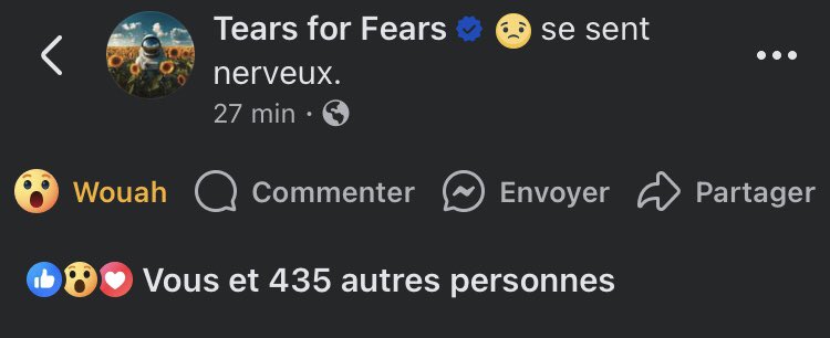 TFFTravelFanTeam tweet media