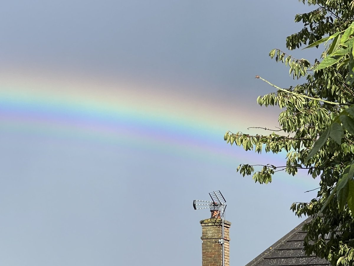 Jayne Snow tweet media