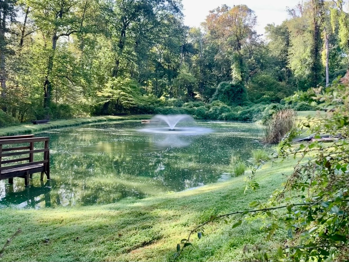 thepondandlake's tweet image. 🌟 Hey there, nature lovers! 🌊 Imagine lounging in your cozy hammock, swaying gently in the breeze while gazing out at a serene pond. But wait—let&apos;s take that pond experience to the next level with a stunning #PONDAERATOR!