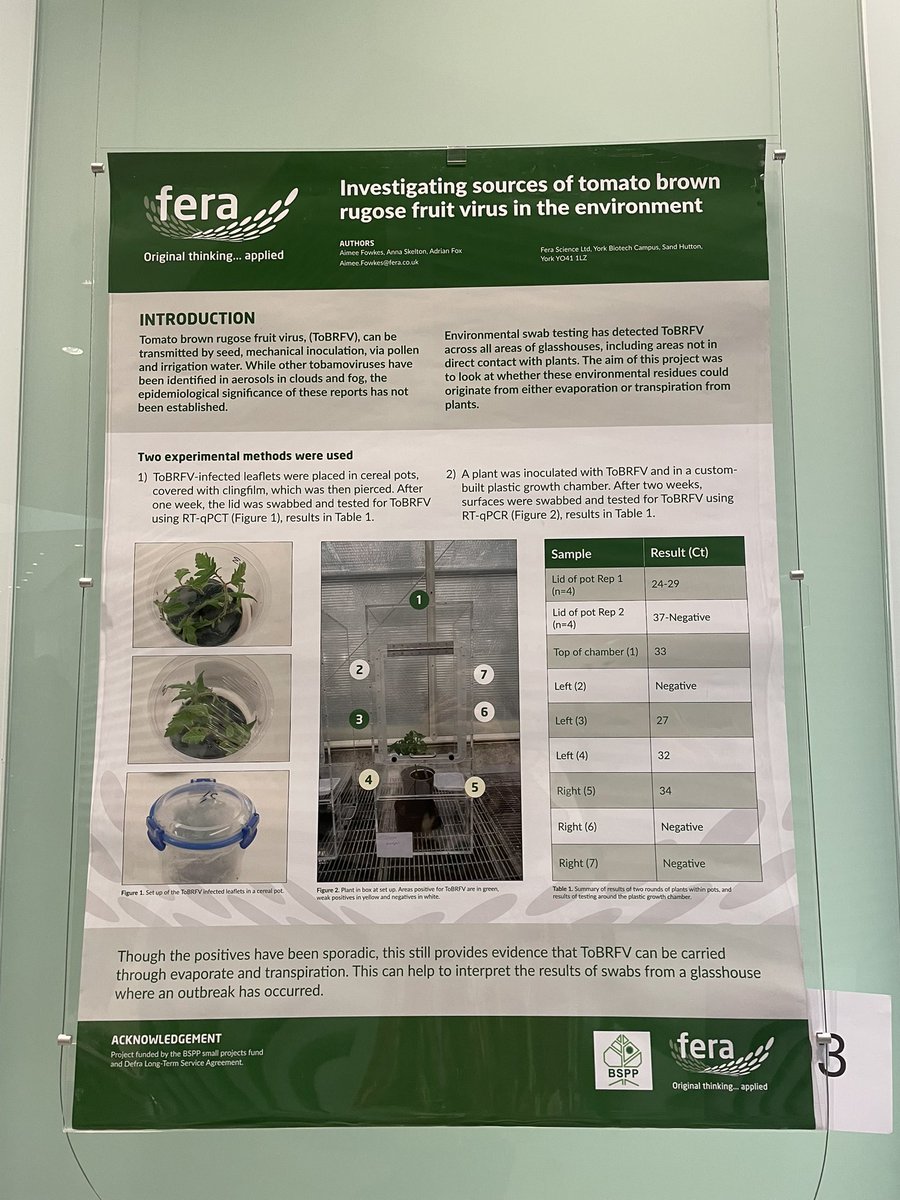 Here at the BSPP conference in Oxford, come chat with me about tomato brown rugose fruit  virus in the environment or any other virus (please!) 🍅 🦠 #PPATH2024 #BSPP