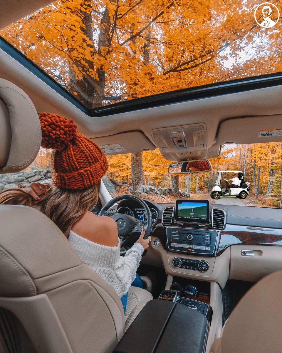 Swifties driving the getaway car (straight to the polls).