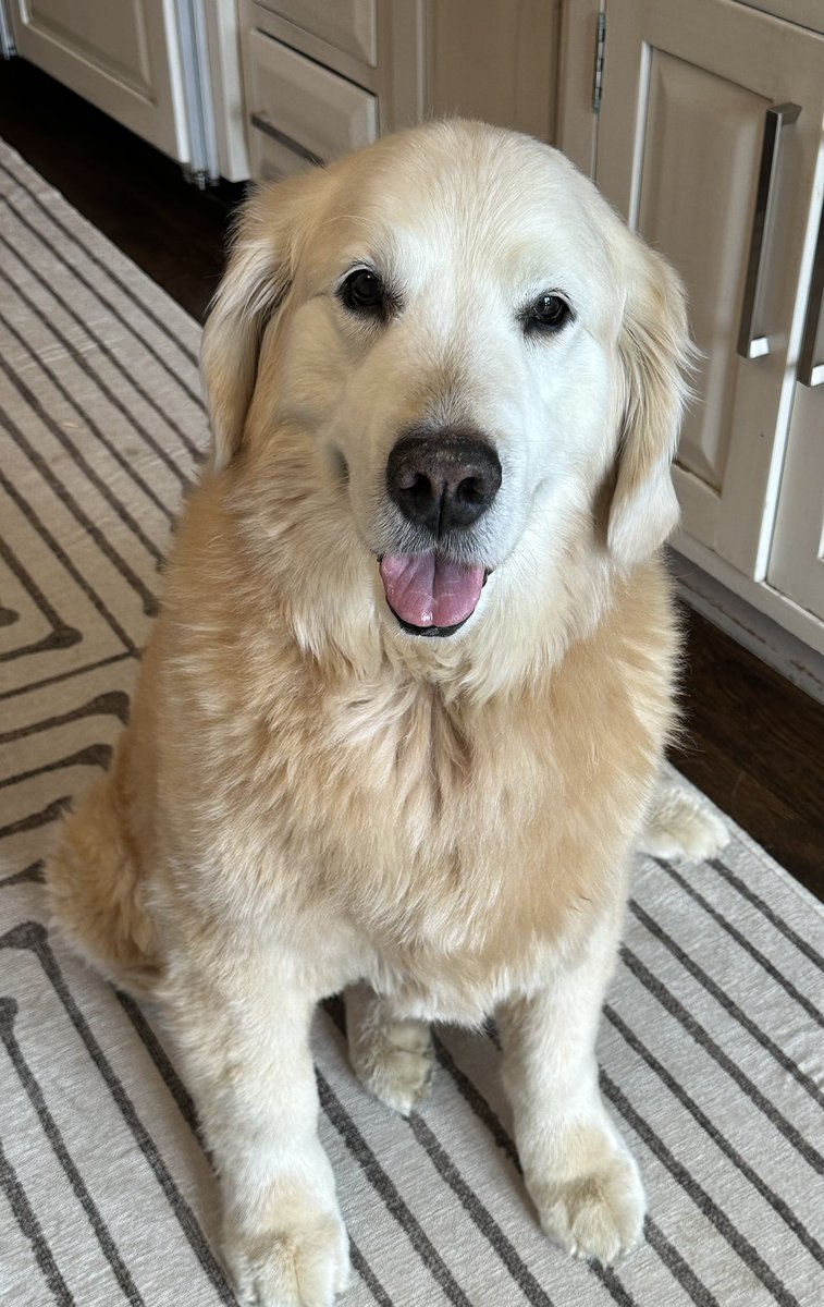 Kirk Herbstreit tweet media