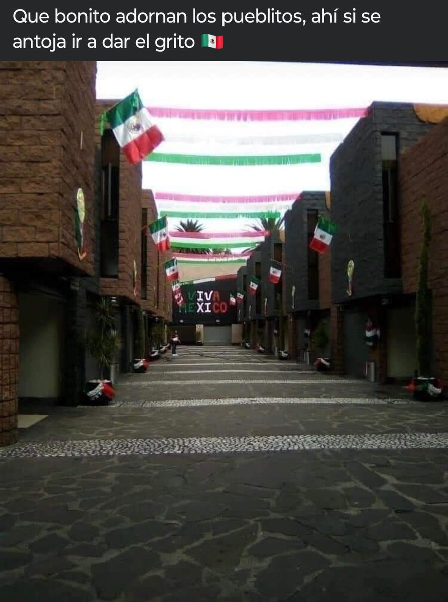 OmiGlez08's tweet photo. Viva Méxxxico 🇲🇽✨ https://t.co/gCGzyQh6MT
