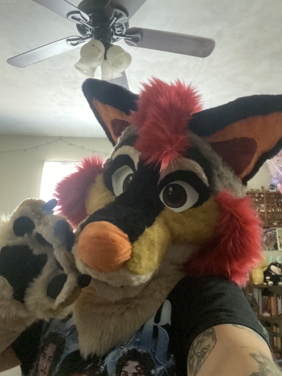 GoodandSlimy's tweet image. FURSUIT RAFFLE!!

I had a friend give me this beautiful suit by @Sharkyote . I changed markings so they can be a brand new character!! 

RULES

🎃must be following @Sharkyote and me🎃retweet

Optional: comment your first Halloween costume 

WINNER WILL BE SELECTED ON 10/31