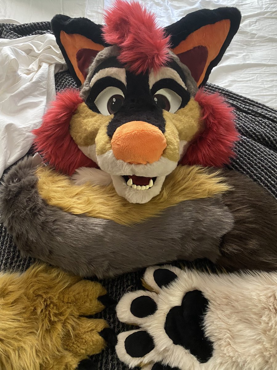 GoodandSlimy's tweet image. FURSUIT RAFFLE!!

I had a friend give me this beautiful suit by @Sharkyote . I changed markings so they can be a brand new character!! 

RULES

🎃must be following @Sharkyote and me🎃retweet

Optional: comment your first Halloween costume 

WINNER WILL BE SELECTED ON 10/31