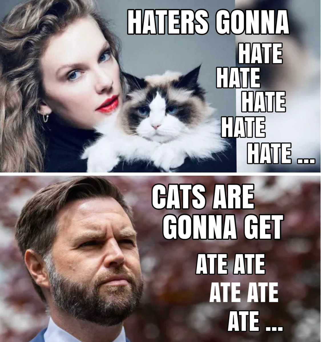 #debate2024 <a href="/taylorswift13/">Taylor Swift</a> #CatLadies #TaylorForKamala