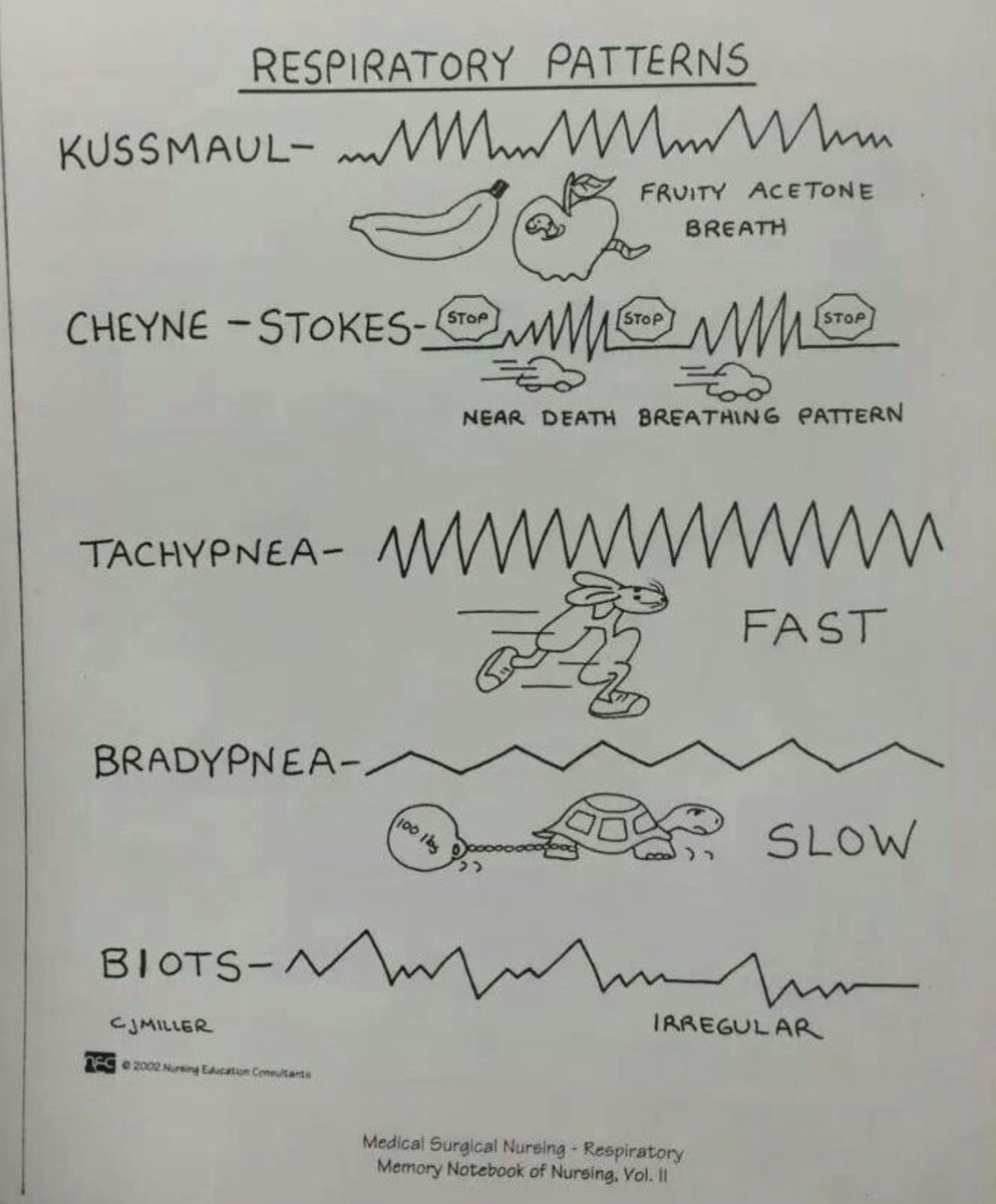 OGdukeneurosurg's tweet photo. Which respiratory pattern scares you? https://t.co/yO3dsKY7wb