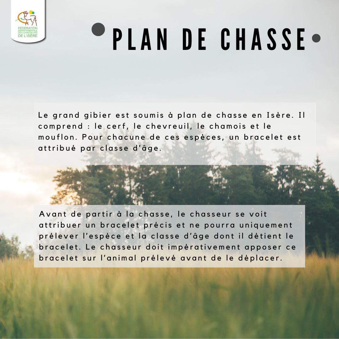 chasse38's tweet photo. Vous vous demandez ce que signifient les abréviations sur les bracelets de prélèvement chevreuil et cerf ? 🦌 Découvrez notre infographie pour tout comprendre du #PlanDeChasse et des classes d'âge du #GrandGibier ! 🎯 #ChasseDurable https://t.co/UKEsK4e2ZY