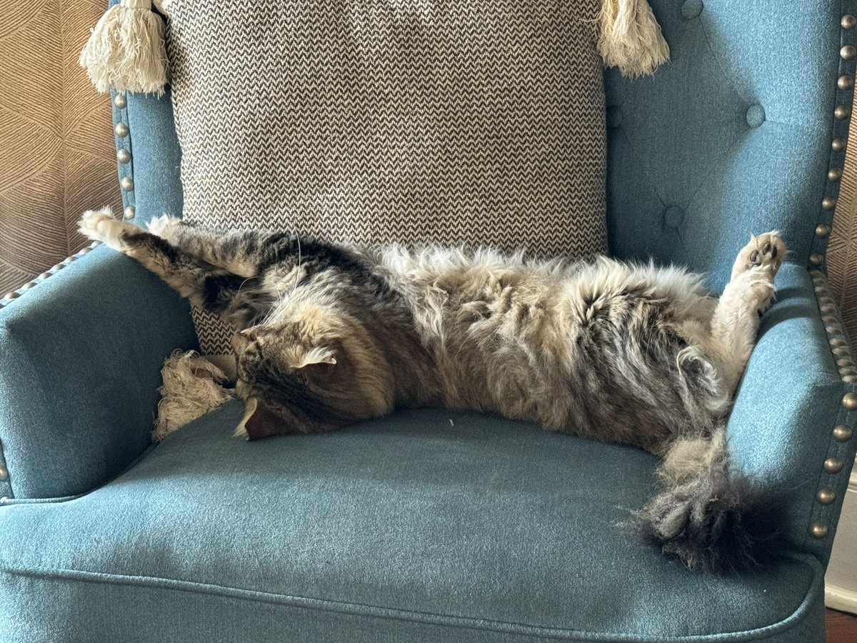 Dr. Amy Baeder tweet media