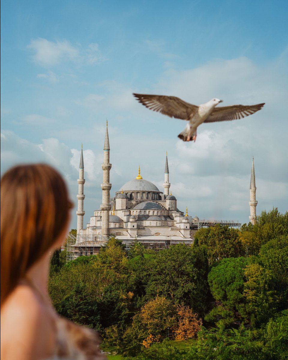 Simóne and Vernon tweet media