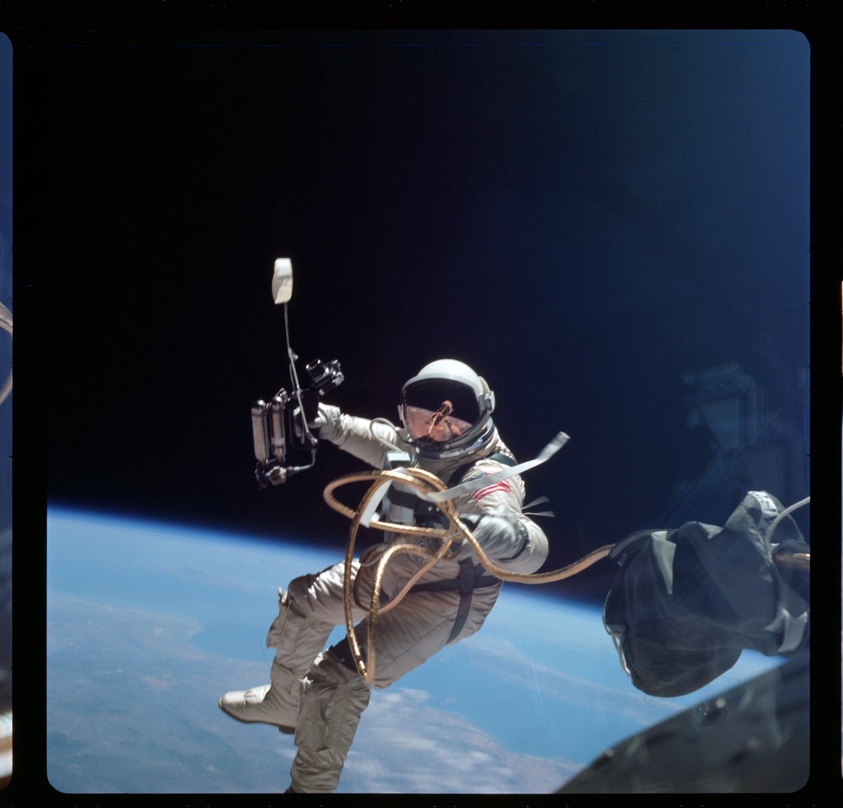 Truthful🛰️ tweet media