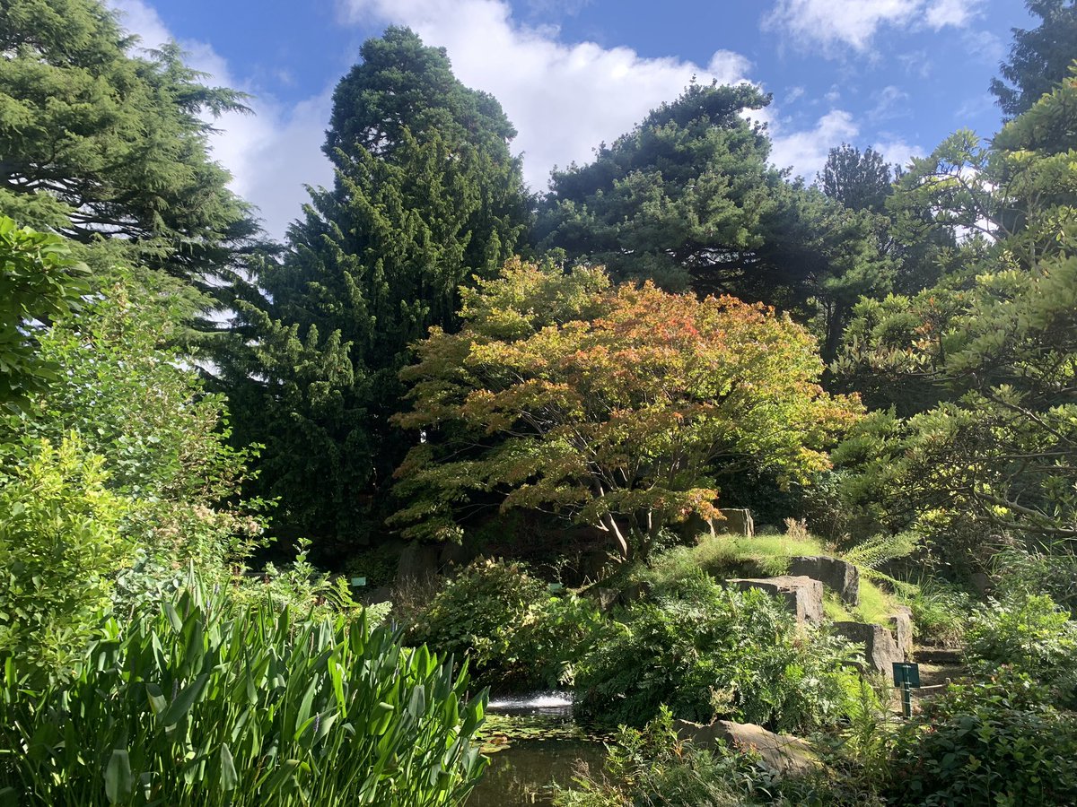 What a beautiful location for a writing retreat. Such a productive and lovely couple of days with fellow <a href="/BritishAcademy_/">The British Academy</a> early career researchers #BAECRN