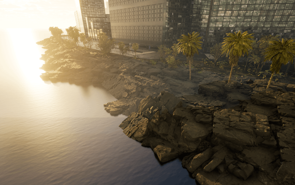 WilderWorld's tweet image. GM from Wiami ☀️