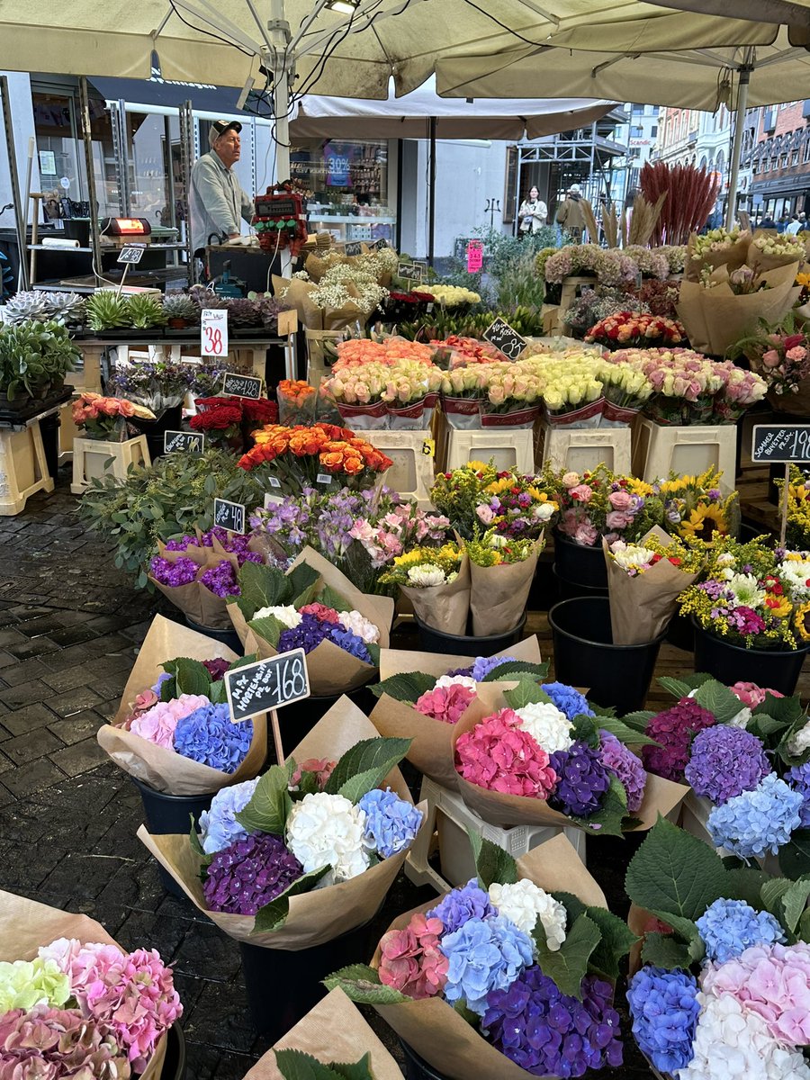 LokBeyaz's tweet image. Rüya Şehir 🌺
#Kopenhag