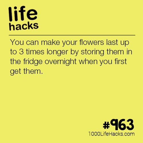 1000lifehacks's tweet photo. https://t.co/3j5dJKeUNh