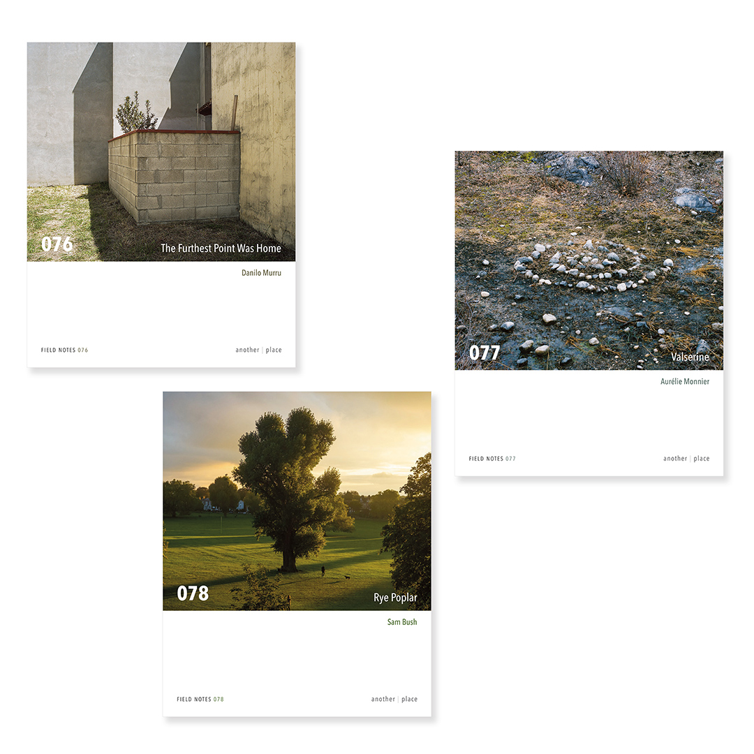 We're delighted to announce that three new 'Field Notes' zine titles are now available to pre-order! 🔥

'The Furthest Point Was Home' by Danilo Murru
'Valserine' by Aurélie Monnier
'Rye Poplar' by Sam Bush

Limited editions of 100 copies, just £8 each - anotherplacepress.bigcartel.com/category/zines