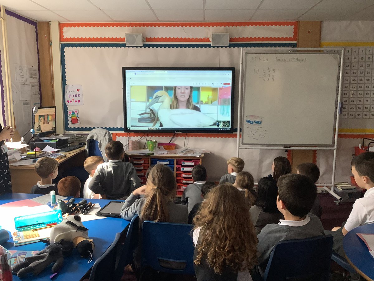 Primary 5a had an interesting talk from the Scottish Seabird Centre <a href="/SeabirdCentre/">Scottish Seabird Centre</a>  This supported our   class novel - Breaker by Scottish author Annemarie Allan <a href="/aldhammer/">Annemarie Allan</a>  Charlotte told us all about the wildlife in North Berwick and she was very impressed with our questions.
