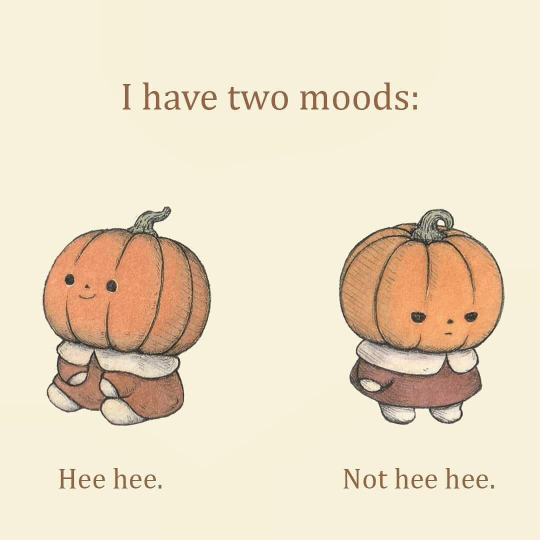 pamvonhadder's tweet image. i have two moods
