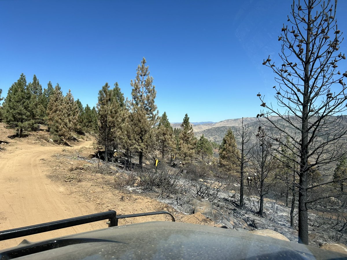 MonumentFire tweet media