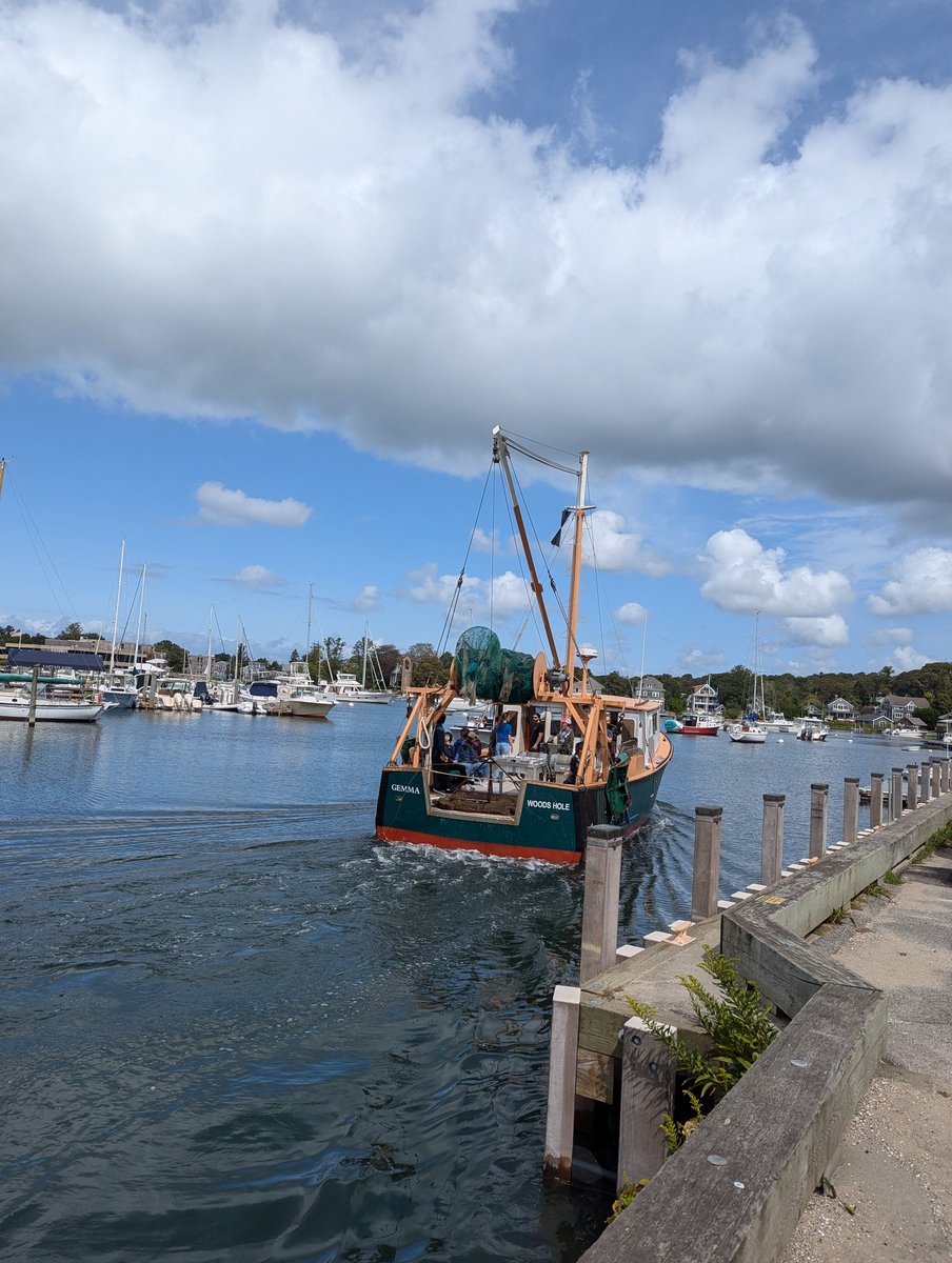 Semester in Environmental Science students on the Gemma returning to Woods Hole <a href="/MBLScience/">Marine Biological Laboratory (MBL)</a>!