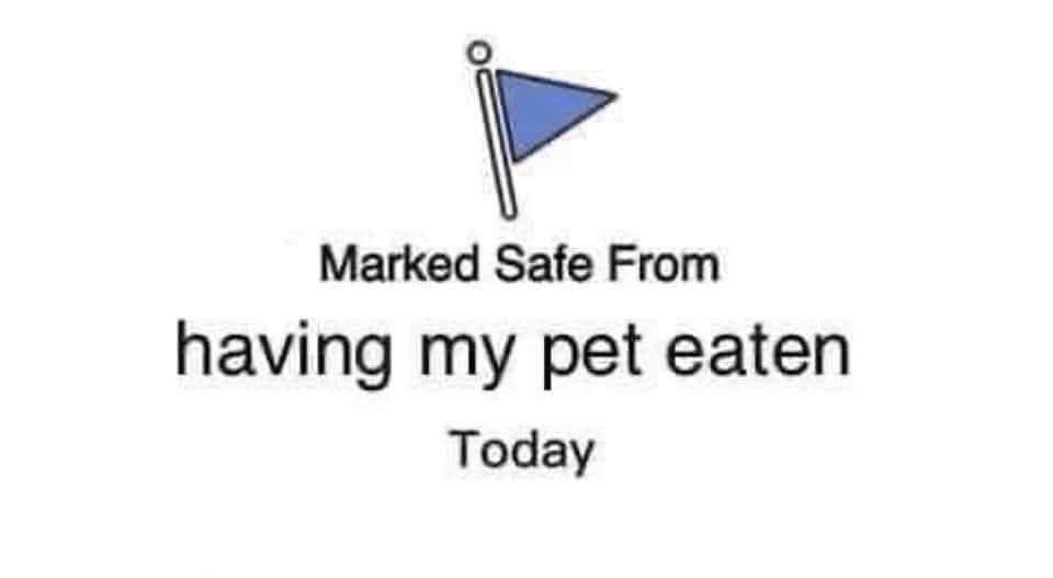 Enjoy an Antoine Dodson meme I made. Haha.  DJ #Trump is delusional &amp; unhinged.  Where is #antoinedodson when we need him?  😹🤣😹🤣😹🤣😹.  #trumpcraycray #Debate2024 #HarrisForPOTUS #KamalaBringingDownTheDon