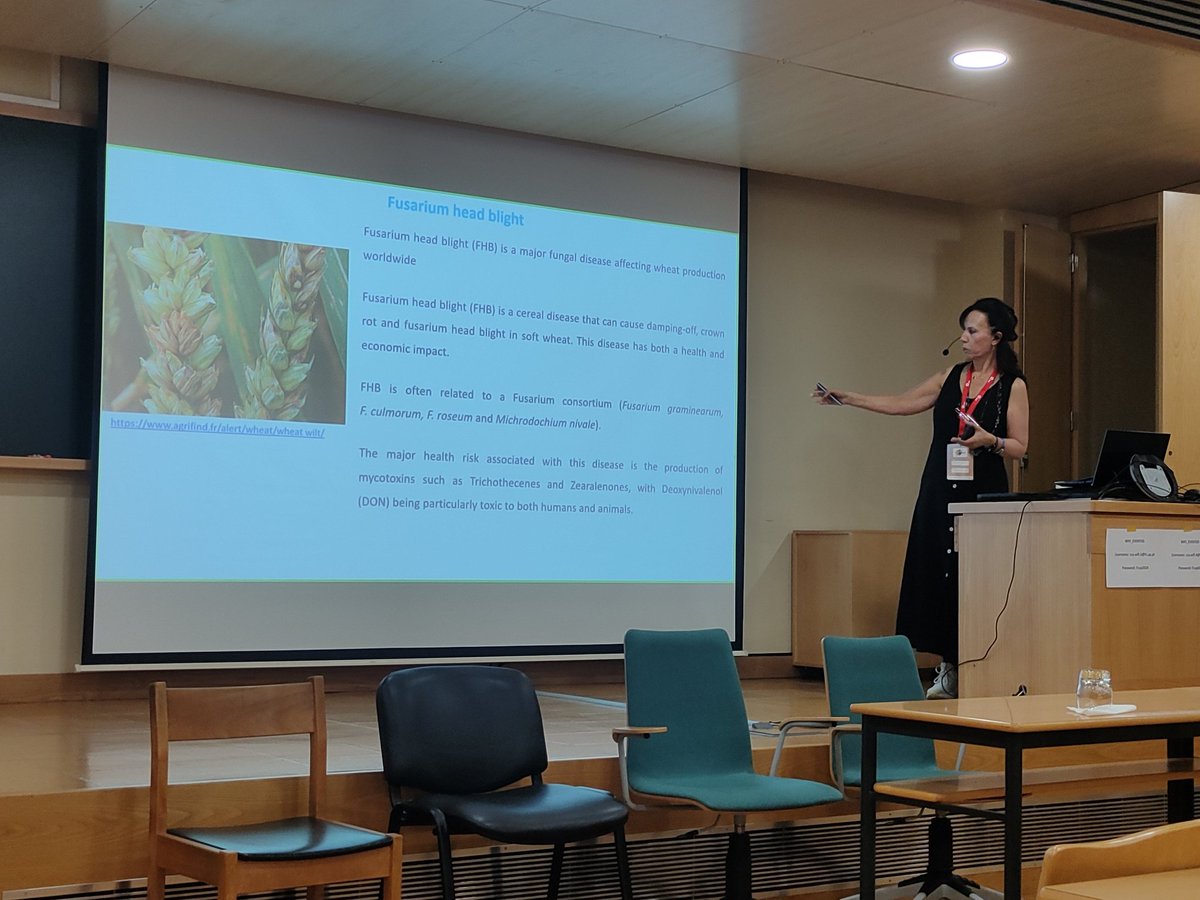 JoanaGVicente's tweet photo. Two great talks by Wafa Achouak on wheat rhizosphere microbiota and Tetiana Kalachova on interactions between Arabidopsis, Pseudomonas and bacteriophages.
@MicropBiomes #MiCropBiomes https://t.co/NrXuAvGcpp
