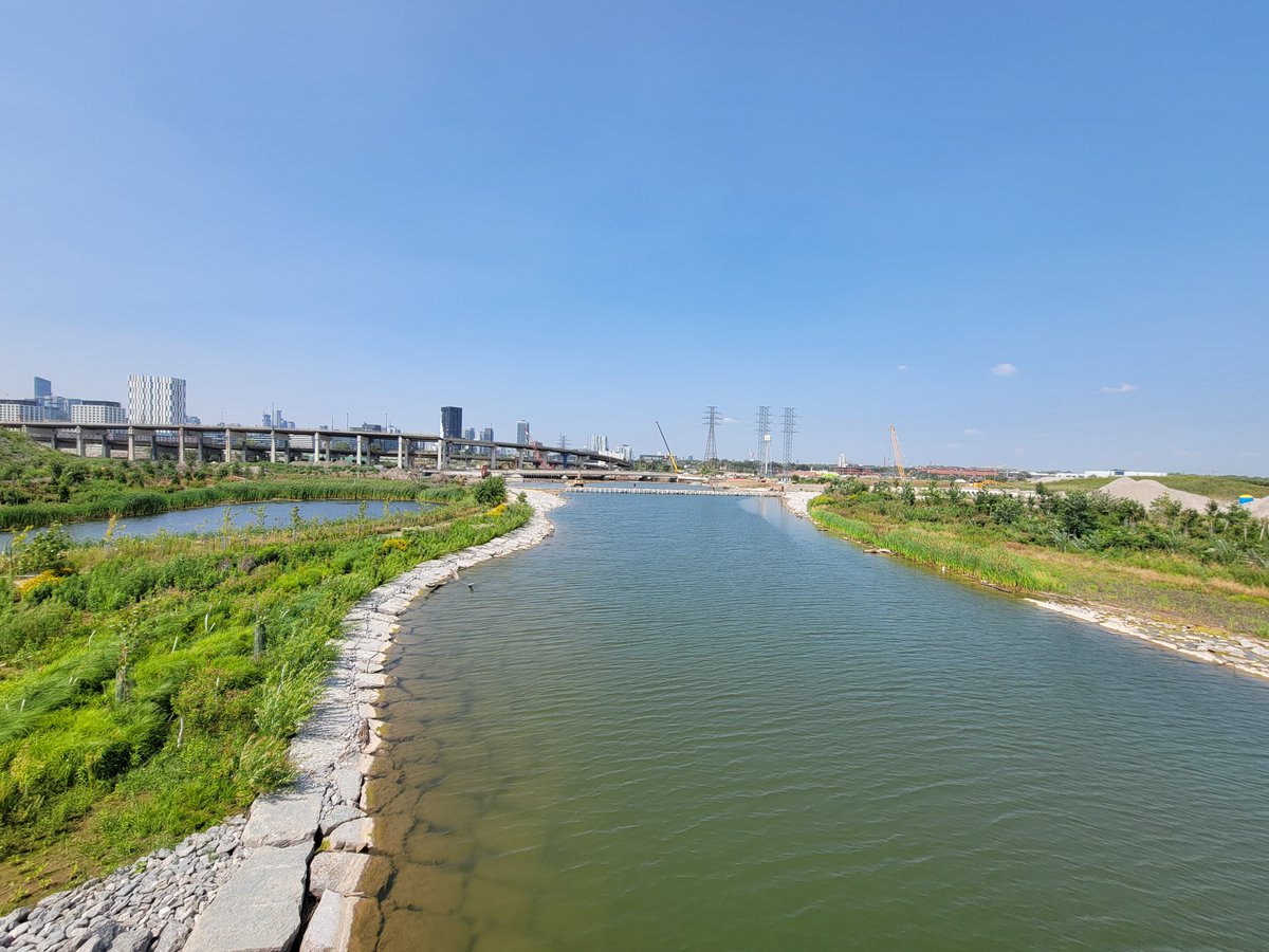 Remember when this was empty parking lots and old warehouses and factories? Now turtles and frogs and fish could be living here!
