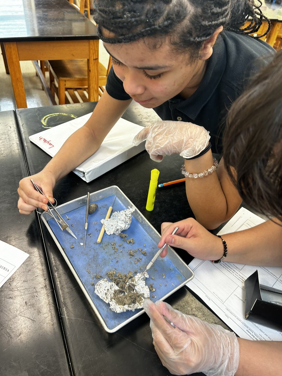 Shoutout to Mr. Puls for guiding our Trojan scientists to discoveries in the owl pellet lab! 🦉<a href="/HoraceMannmdcps/">Horace Mann Middle School</a> <a href="/MDCPSCentral/">Central Region</a> <a href="/SuptDotres/">Jose L. Dotres, Ed.D.</a> <a href="/STEAMDesignated/">STE(A)M School Designation</a>