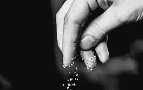Sirlazim's tweet photo. If a pinch of salt makes a difference because of its magical taste. We shouldn't underestimate our small input efforts toward future desired goals. If you are reading this post, you are among those who are concerned about making a great difference. Continue the journey. https://t.co/eVXuw9FosQ